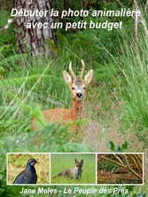 Débuter la photo animalière avec un petit budget