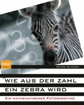 Wie aus der Zahl ein Zebra wird