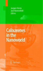 Calixarenes in the Nanoworld