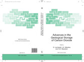 Advances in the Geological Storage of Carbon Dioxide