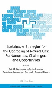 Sustainable Strategies for the Upgrading of Natural Gas: Fundamentals, Challenges, and Opportunities