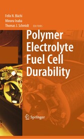 Polymer Electrolyte Fuel Cell Durability