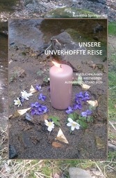 Unsere unverhoffte Reise