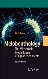 Meiobenthology