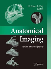 Anatomical Imaging