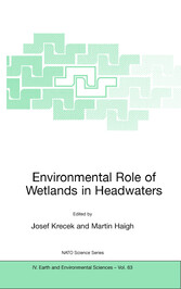 Environmental Role of Wetlands in Headwaters