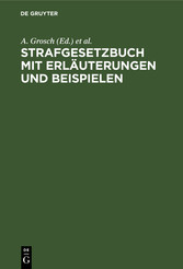 Strafgesetzbuch mit Erläuterungen und Beispielen