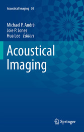 Acoustical Imaging