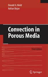 Convection in Porous Media