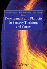 Development and Plasticity in Sensory Thalamus and Cortex