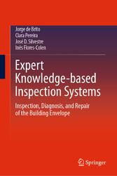 Expert Knowledge-based Inspection Systems