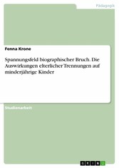 Spannungsfeld biographischer Bruch. Die Auswirkungen elterlicher Trennungen auf minderjährige Kinder