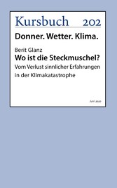 Wo ist die Steckmuschel?