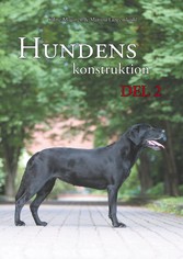 Hundens konstruktion, del 2