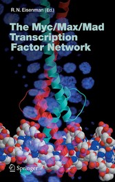 The Myc/Max/Mad Transcription Factor Network