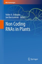 Non Coding RNAs in Plants