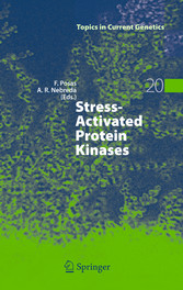 Stress-Activated Protein Kinases