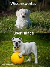 Wissenswertes über Hunde