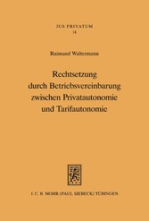 Rechtsetzung durch Betriebsvereinbarung zwischen Privatautonomie und Tarifautonomie