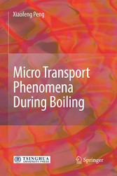 Micro Transport Phenomena During Boiling