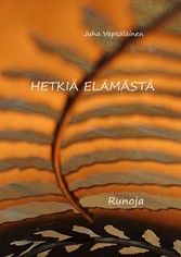 Hetkiä elämästä