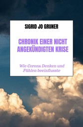 Chronik einer nicht angekündigten Krise