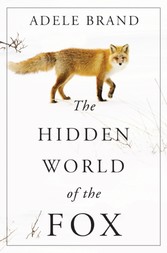 Hidden World of the Fox