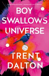 Boy Swallows Universe