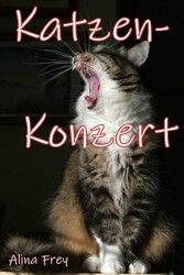 Katzen - Konzert