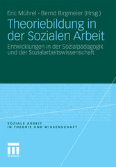 Theoriebildung in der Sozialen Arbeit