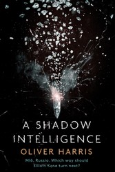 Shadow Intelligence