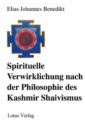 Spirituelle Verwirklichung nach der Philosophie des Kashmir Shaivismus