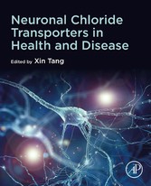 Neuronal Chloride Transporters in Health and Disease