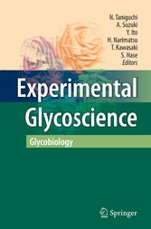 Experimental Glycoscience