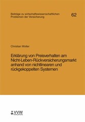 Erklärung von Preisverhalten am Nicht-Leben-Rückversicherungsmarkt anhand von nichtlinearen und rückgekoppelten Systemen