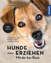 Hunde erziehen - mit der 5er-Basis