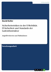 Sicherheitsrisiken in der E-Mobilität. IT-Sicherheit und Standards der Ladeinfrastruktur