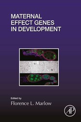 Maternal Effect Genes in Development