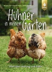 Hühner in meinem Garten