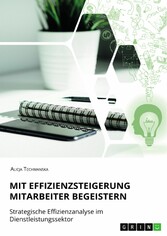 Mit Effizienzsteigerung Mitarbeiter begeistern. Strategische Effizienzanalyse im Dienstleistungssektor