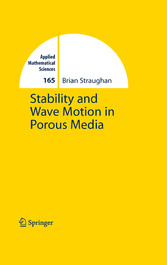 Stability and Wave Motion in Porous Media