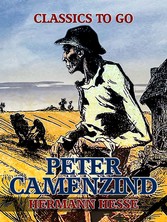 Peter Camenzind