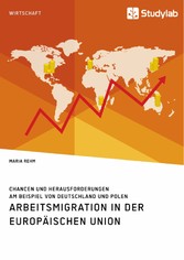 Arbeitsmigration in der Europäischen Union. Chancen und Herausforderungen am Beispiel von Deutschland und Polen