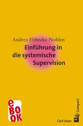 Einführung in die systemische Supervision