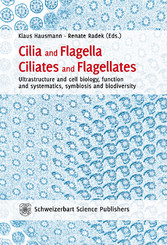 Cilia and Flagella - Ciliates and Flagellates