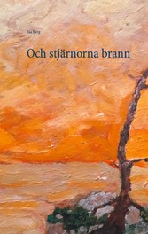 Och stjärnorna brann