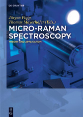 Micro-Raman Spectroscopy