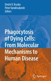 Phagocytosis of Dying Cells