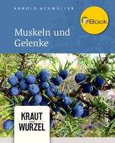 Muskeln und Gelenke