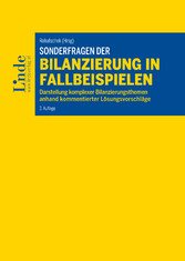 Sonderfragen der Bilanzierung in Fallbeispielen